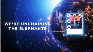 NFT BLOCKCHAIN TOUR! Unchained Elephants NFTs Coming Soon To ICP and AVALANCHE (AVAX)!