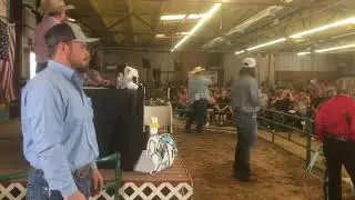Animal Auction Verde VAlley Fair