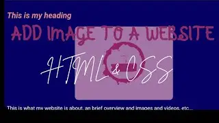How to Add an Image to a Website Using HTML & CSS