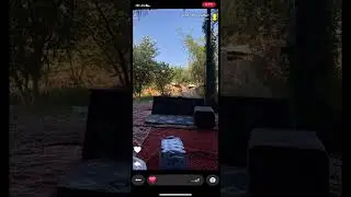 بعض النساء نعمه وبعضهم نغمه