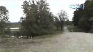 NN Lonjsko polje