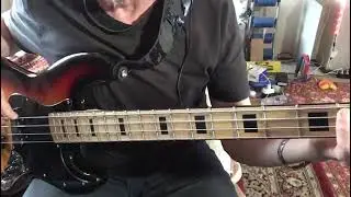 When i fall in love) cover bass