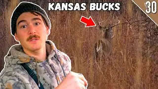 BOW HUNTING the RUT!! (Kansas Public Land)