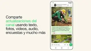 C&oacute;mo crear un canal de WhatsApp | WhatsApp