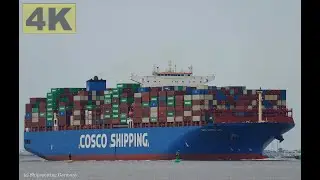 COSCO SHIPPING ALPS - Shipspotting Germany 🇩🇪 IMO 9757864 - River Elbe near City Otterndorf - 4K