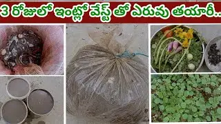 మన గార్డెన్ ఆరోగ్యంగా ఉండాలిఅంటే...Daily routine,Fetelizer & కంపోస్ట్ #bellamanusha #compost #garden