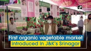 First organic vegetable market introduced in J&K&rsquo;s Srinagar I Kashmir News