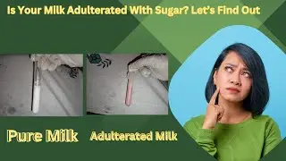 || Testing sugar adulteration in Milk || PURESH DAILY ||