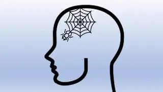 Why spiders live in your brain: Short Course in Metacognition for Parents #4