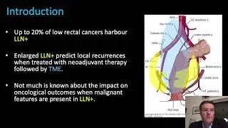 Lateral Pelvic Lymph Nodes in Rectal Cancer v2.0: size vs malignant features.