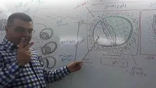 ثانوية العودة الخاصة بحلب / علوم - التنامي الجنيني / أ. وائل بزارة