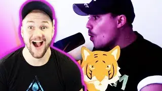 HARD FREESTYLE! TIGER SHOT - ALEM BEATBOX REACTION!