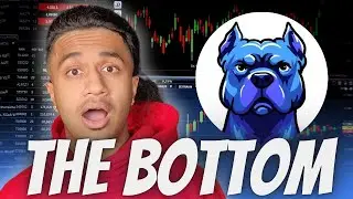 THE BOTTOM IS HERE FOR $DOGINME?! DOGINME IS GETTING READY TO EXPLODE?!