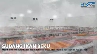 Cara Mempertahankan Kestabilan Kualitas ikan Dengan Gudang Beku Knockdown 20 Ton Tanpa ABF