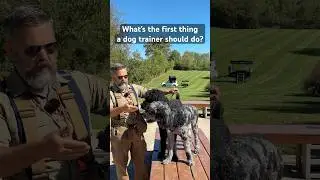 What&rsquo;s The First Step In Proper Dog Training For These Dogs? #dogtraining #poodle #goldendoodle