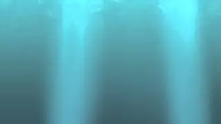 Coma Toast