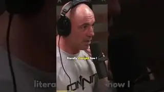 Joe Rogan Says DMT Changed His Life 🍄 #shorts