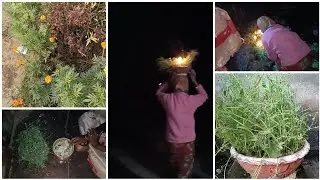 ইতু ঠাকুর কে সাধ দিলাম,/এই শীতের রাতে বিসর্জন দিয়ে আসলাম 