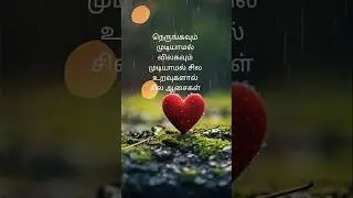 vithu_channel#thamil kavithaigal #hearttouching #love feel 💜❤️