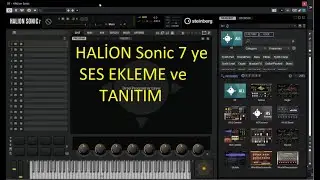 HALion Sonic 7 ye ses ekleme ve kullanma-Adding and using sounds in HALion Sonic 7