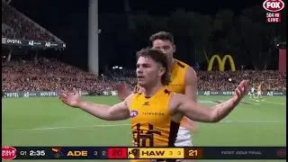 Nick Watson 2025 Hawthorn Highlights