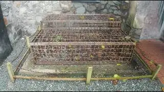 American soldier vietnam war ( pow) Tiger cages