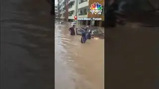 Punjab Rains: Heavy Rainfall Causes Flood-like Situation In A Housing Colony In Punjab's Dera Bassi