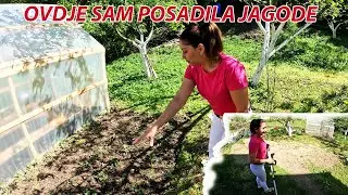 KUPIO SAM KONI POKLON ROZE BOJE DA IMA ČIM KOSIT TRAVU