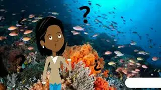 🔴 Biomas marinos /🐠🦑