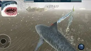 Ultimate Shark Simulator - Gameplay Walkthrough Part 1 (Android, iOS)