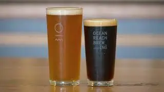 Ocean Reach Brewery Project - Fermecraft Automated Brewing System