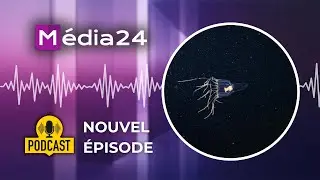 Un microbe des abysses peut-il freiner le r&eacute;chauffement climatique ? 🦠