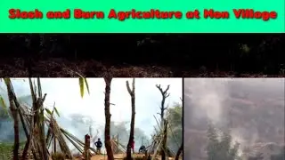 Slash & Burn Method of Agriculture | Mon Village| Nagaland | Bomwang Vlogs
