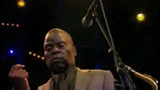 Maceo Parker 🎷 rabbits