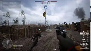 funny roadkill