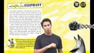 ADHD IN HD:  BRAINS GONE WILD, by Jonathan Chesner