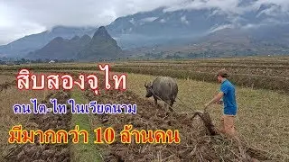 ลุยเวียดนาม(Vietnam) EP34:สิบสองจุไท คนไต(ไท) ในเวียดนามมีจำนวนหลัก 10 ล้านคน