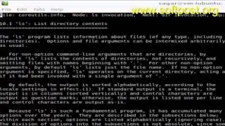 info command in Bash