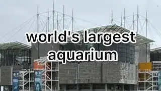 Ocean&aacute;rio de Lisboa #underwater #underwater world #aquarium #viral #ocean ##fishing #fish #lisbon