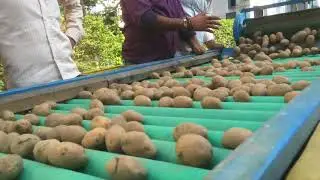 Khalsa Potato Grader ( Diesel engine ) इस मशीन से आलू छाटने घंटों का काम मिनटों में कर सकते हैं।
