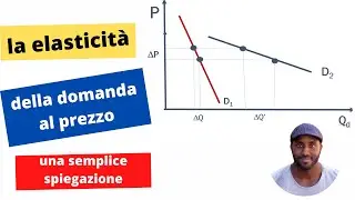 Microeconomia - una semplice spiegazione della elasticità della domanda al prezzo.