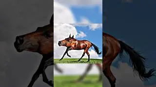 This Is What These Neckless Animals Would Look Like 😰 pt. 4 #youtubeshorts #shorts