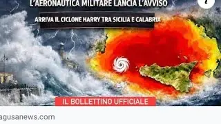 I DANNI DI HARRY
