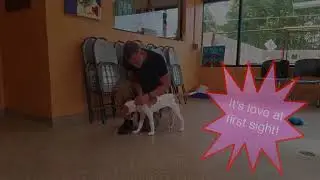 Bess gets ADOPTED!!