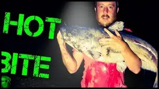 Catching Catfish during the Spawn