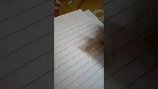 writing with outline pens #outline pens