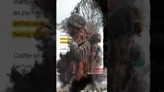Bangladesh Stops India from Building Border Fence | Tensions Rise! - Borderman