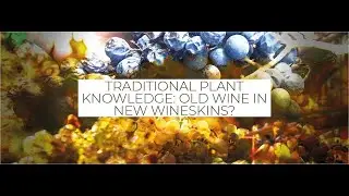 Traditional Plant Knowledge: Old Wine in New Wineskins? - Prof. Pieroni