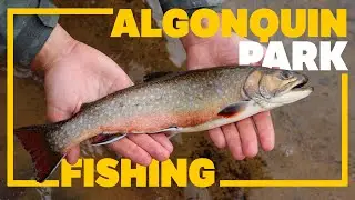 ROCK LAKE ALGONQUIN PARK FISHING & CAMPING
