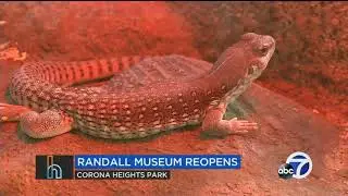 Randall Museum Reopens, SF Beer Week and other weekend fun